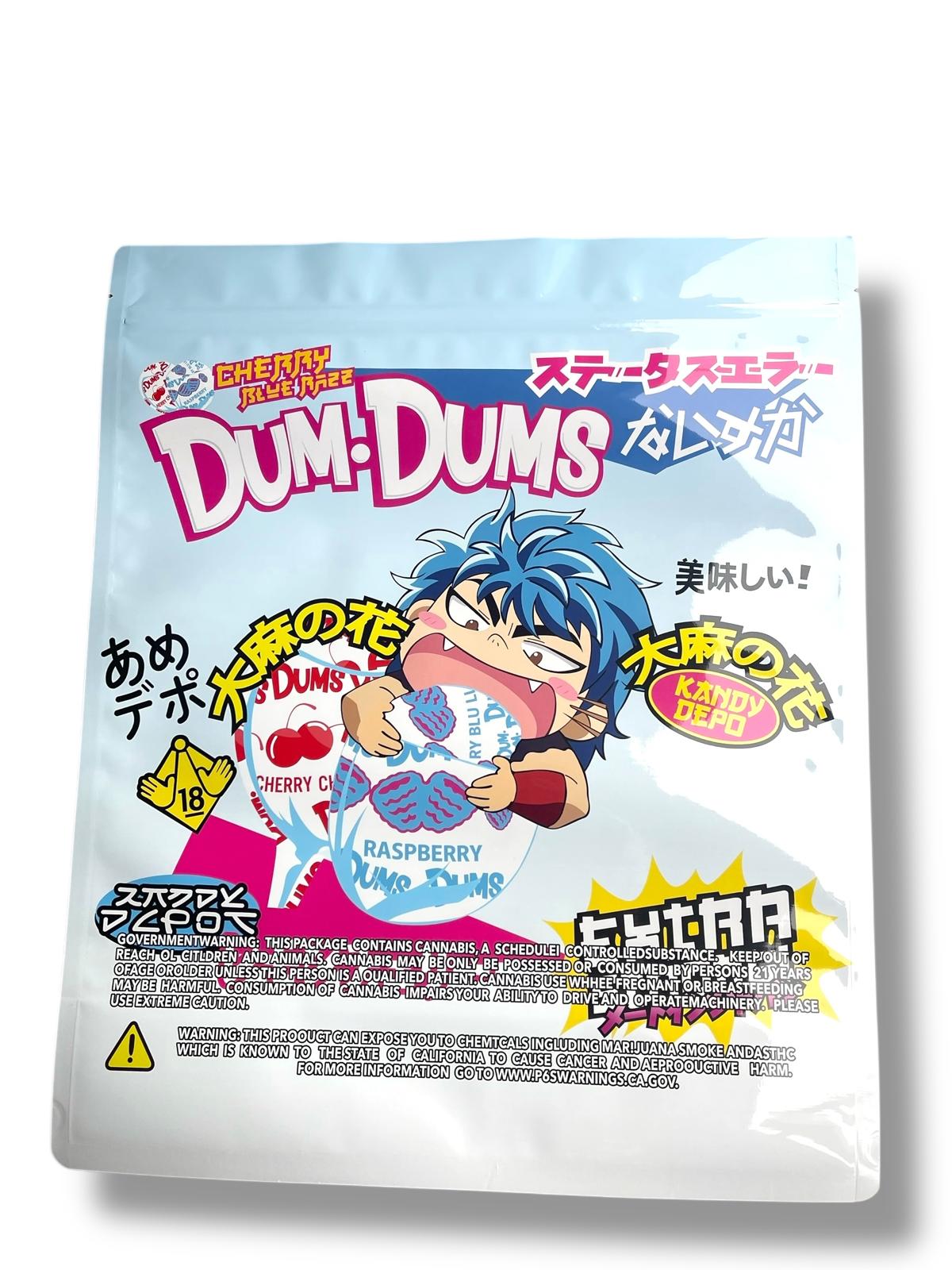 Dum Dums (Large) 1 LBS - 16OZ (454g) Kandy Depot