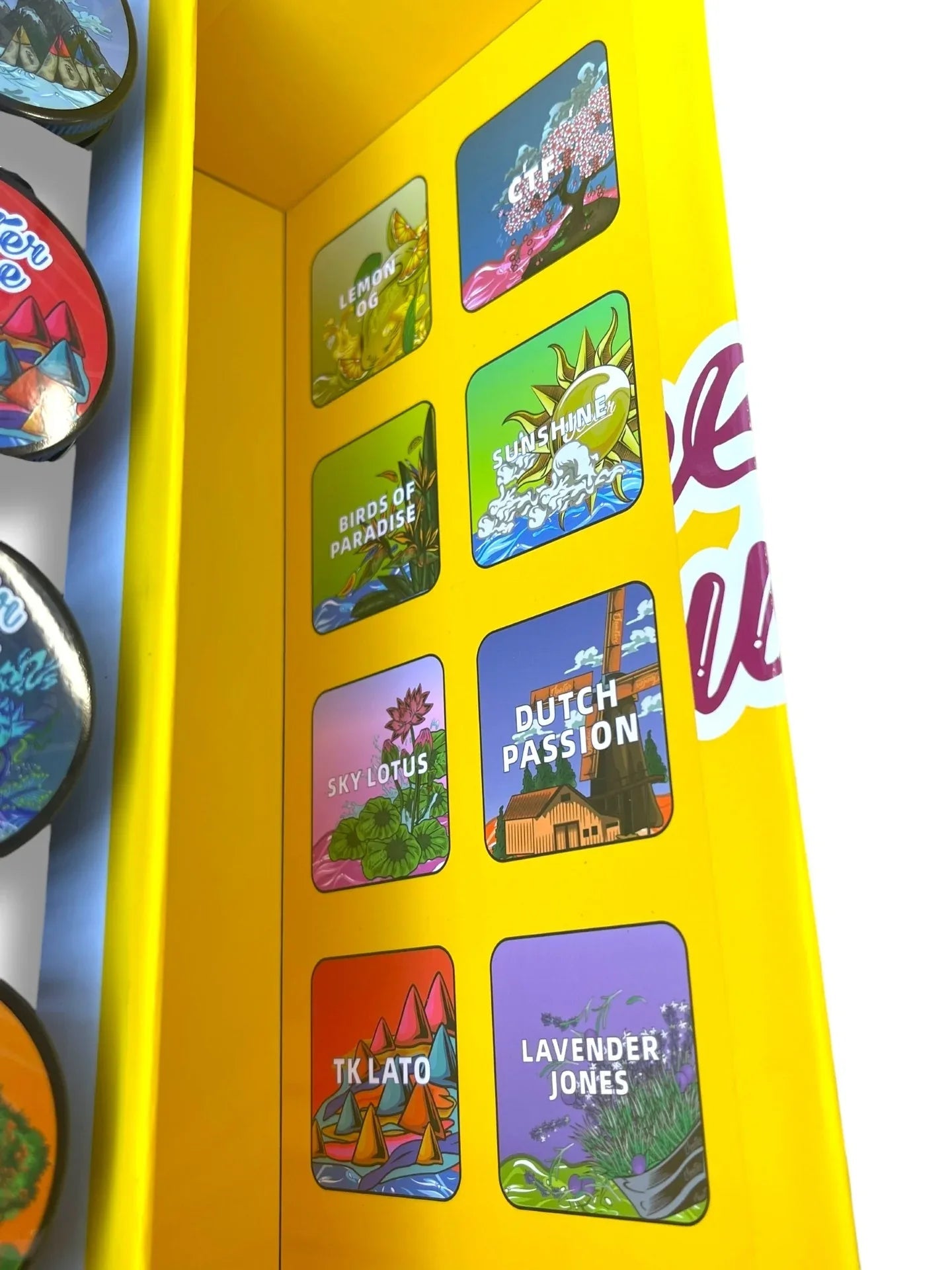 Jeeter Juice Variety Pack 16-1oz Jars in a box Live Resin Empty Jars - Black Unicorn Hub